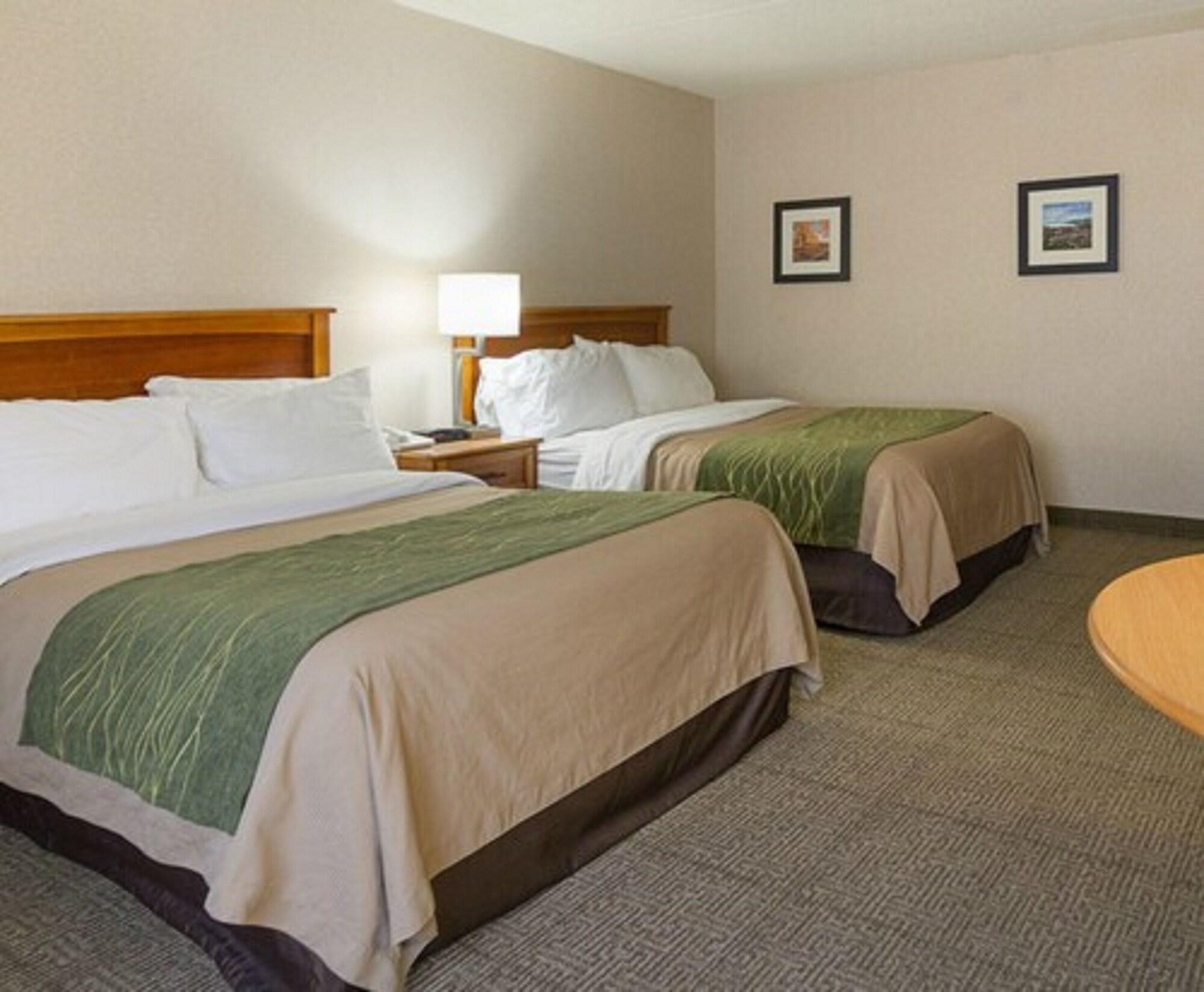 Comfort Inn & Suites Syracuse-Carrier Circle East Syracuse Ngoại thất bức ảnh