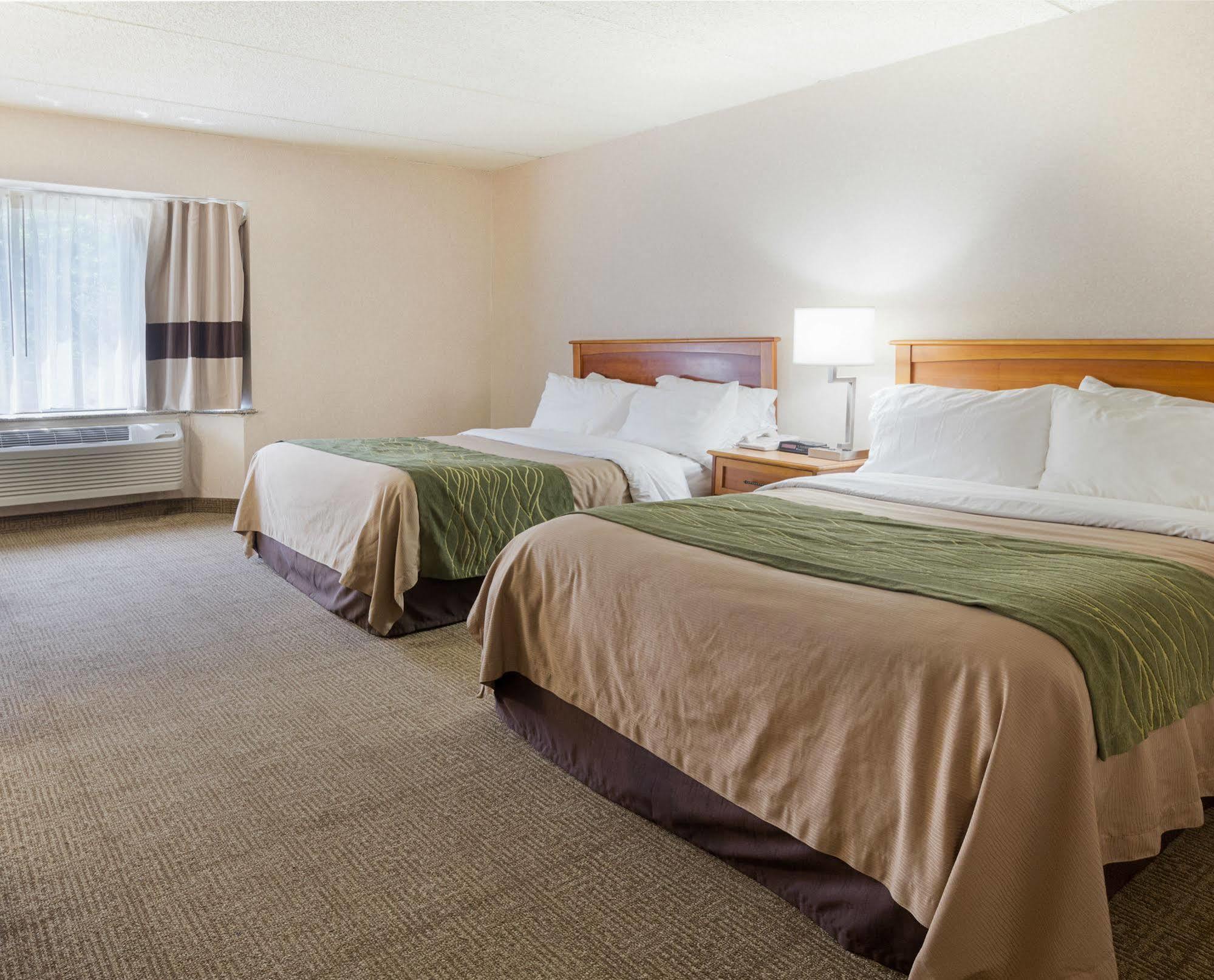 Comfort Inn & Suites Syracuse-Carrier Circle East Syracuse Ngoại thất bức ảnh