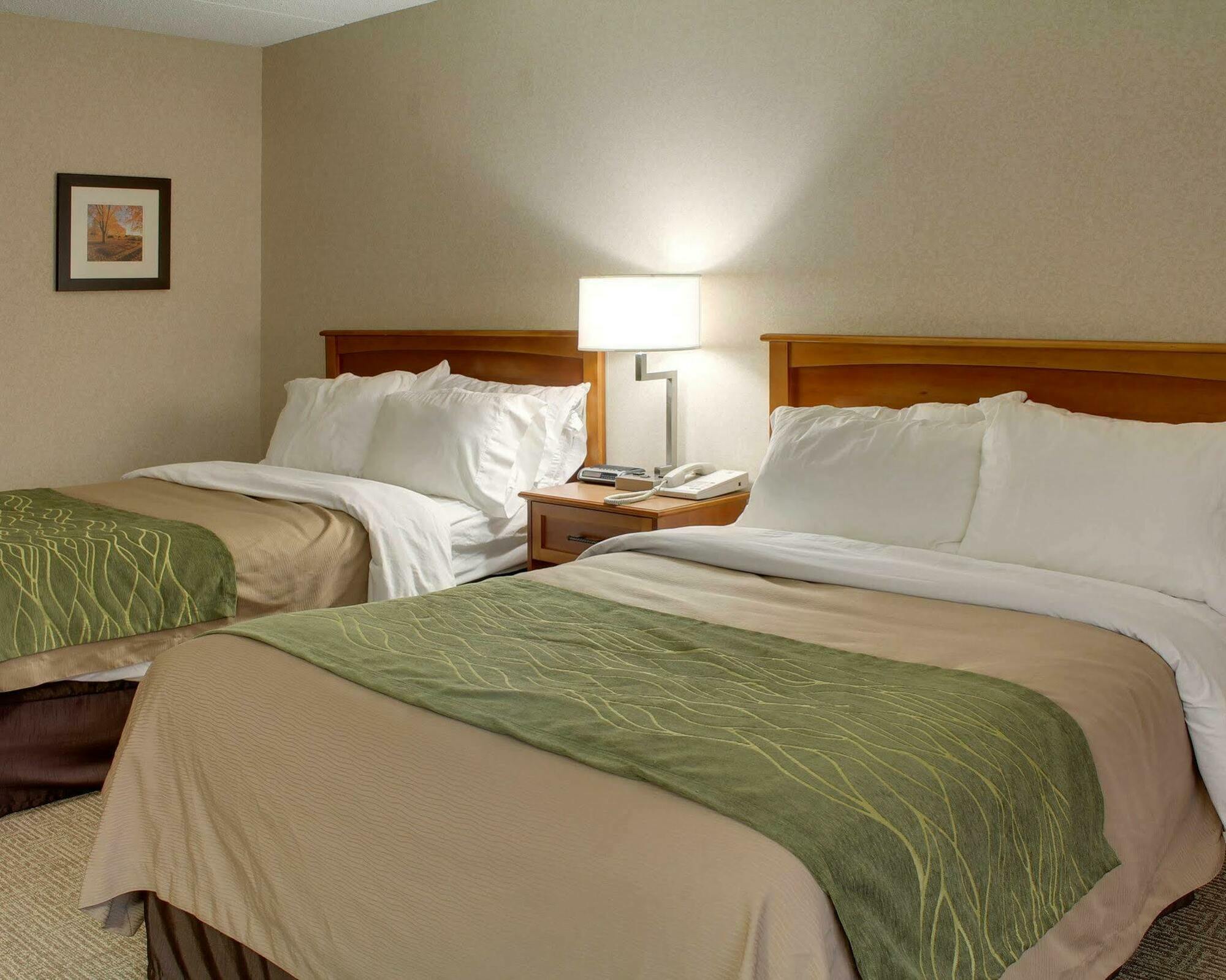 Comfort Inn & Suites Syracuse-Carrier Circle East Syracuse Ngoại thất bức ảnh